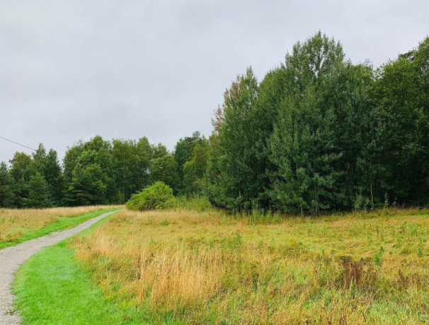 om markfirman i upplands